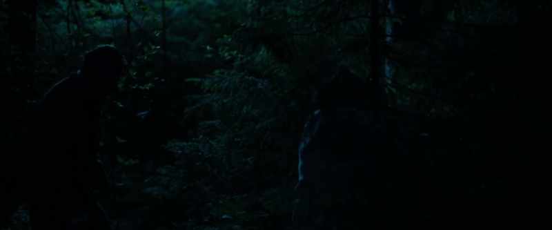 So what are you doing all this way out in the forest?