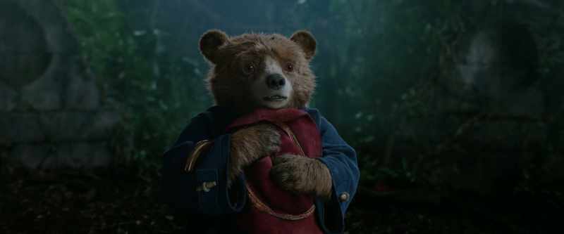 So, what do we do... Bear?