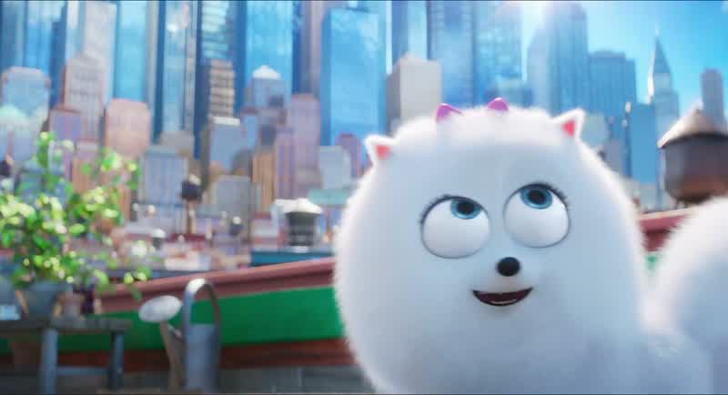 So, what does this Max look like?
