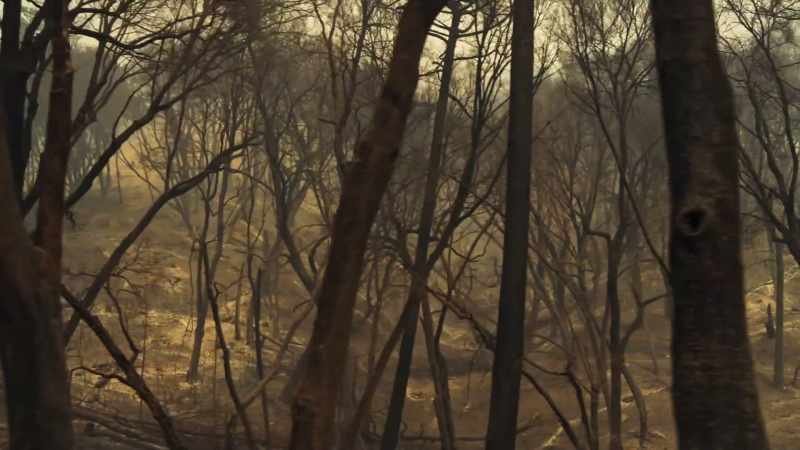 So what fire does is it takes in oxygen