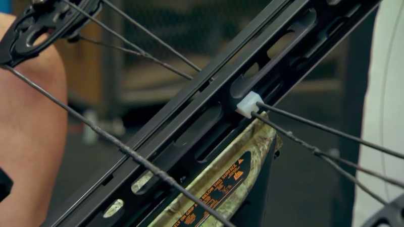SO WHEN WE MOVED ON TO A COMPOUND BOW