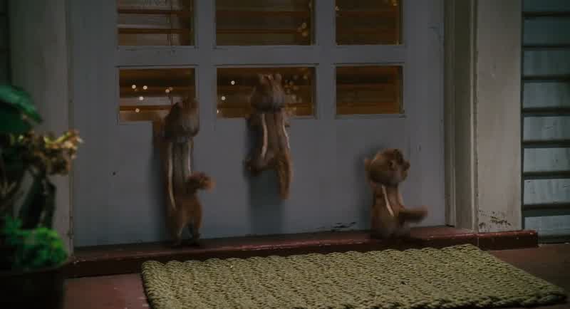 We can gnaw right through this doorHiOh were we disturbing youWhat you guys can sing tooThat's not singing This is singingThis is amazingHere everyone insideThere you go Thank you