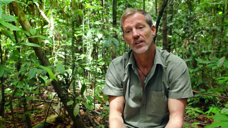 So, you're rescuing the orangutan
