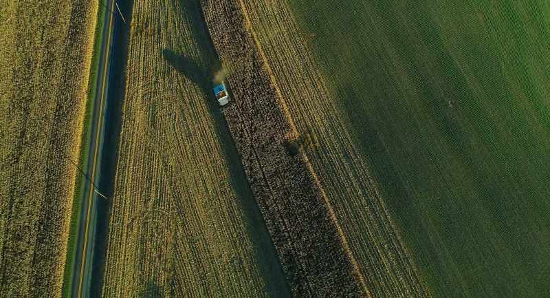 So you've got corn and soybeans that bloom, you know