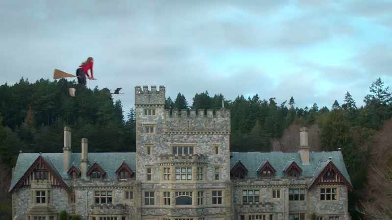 Soar, Willa! Soar like an eagle!