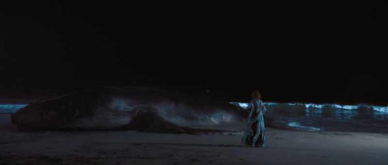 [sobbing] Please! Don't leave me. - [bellowing]