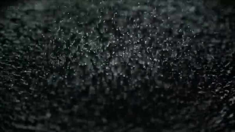 SOFT FIZZING