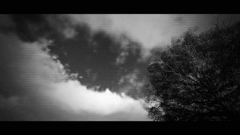 (soft mysterious music)