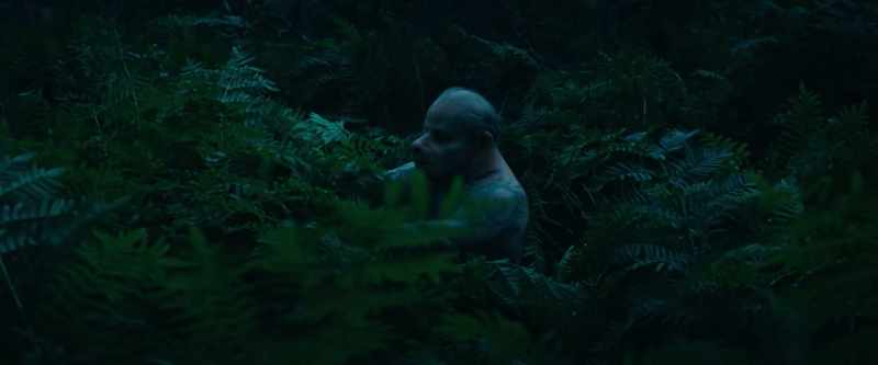 (soft pensive music playing) - (branches snapping)
