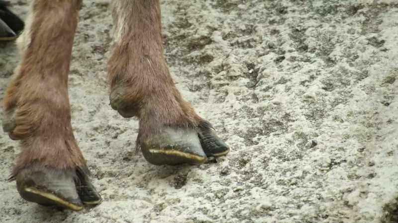 Soft, rubbery soles mold around even the tiniest ridges