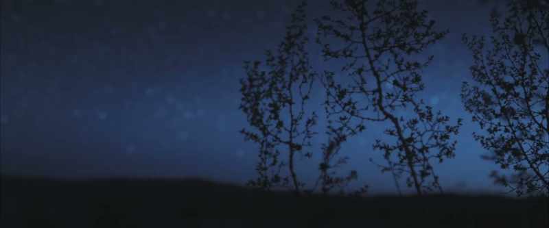 [♪ soft strings ]