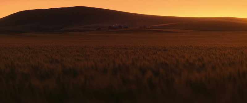 [soft wind rustling]