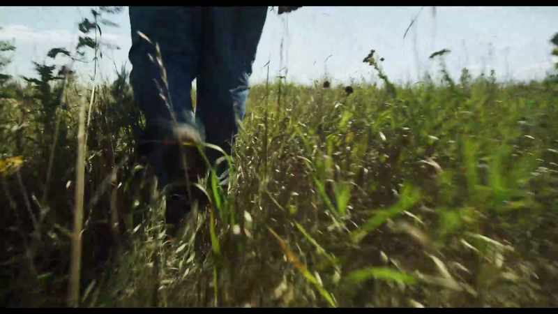 Soil that is not tilled stores more water