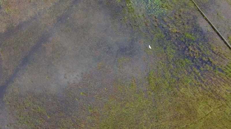 [solemn music plays]
