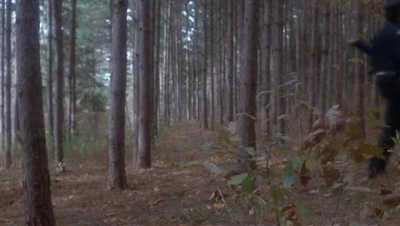 [somber, limping music]