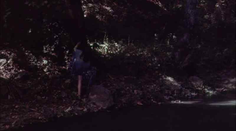 (somber music) (bats squeaking)