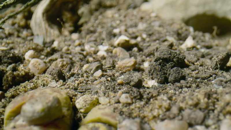 Some are small and low and barely distinguishable