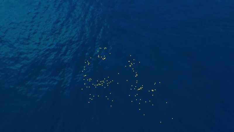Some drifted right across the Pacific Ocean