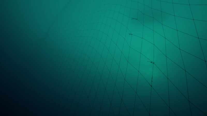 Some fisheries will waste 85%