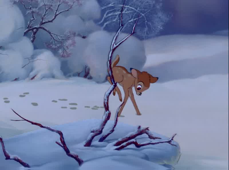 Some fun, huh, Bambi?