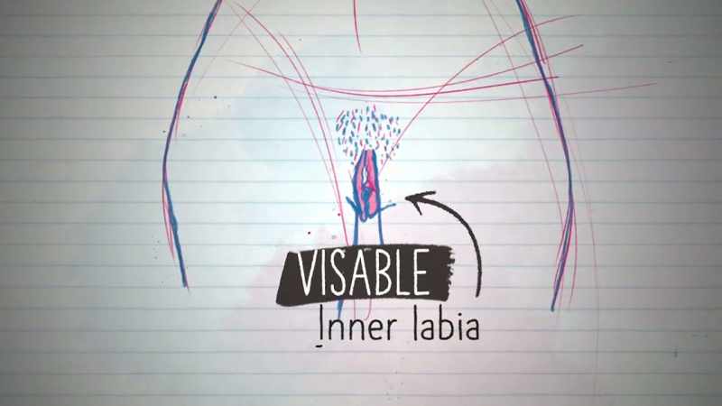 Some have visible inner labia, some don't