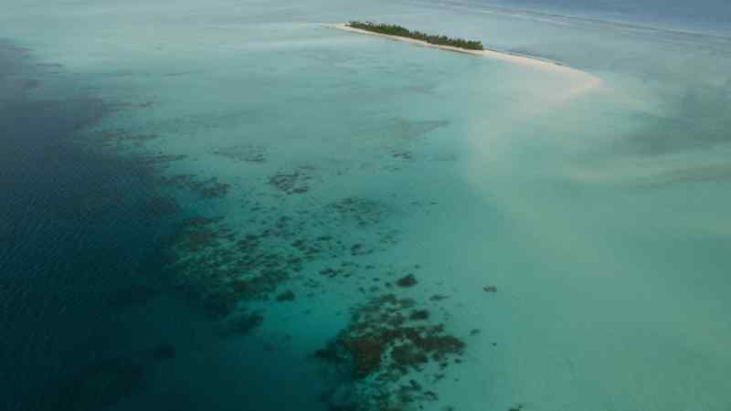 Some islands are so small