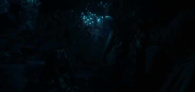 Some kind of glowing bugs hanging from the ceiling