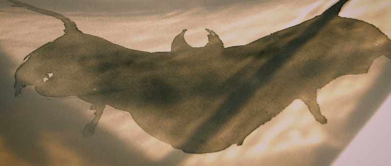 Some people will see Mothman