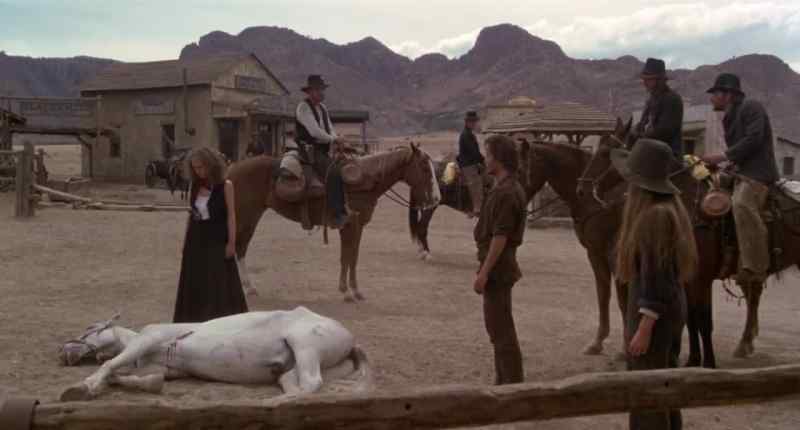 Somebody put down that poor horse