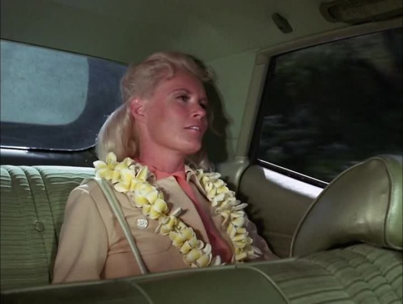 SOMEHOW I NEVER THOUGHT HAWAII WOULD HAVE FREEWAYS