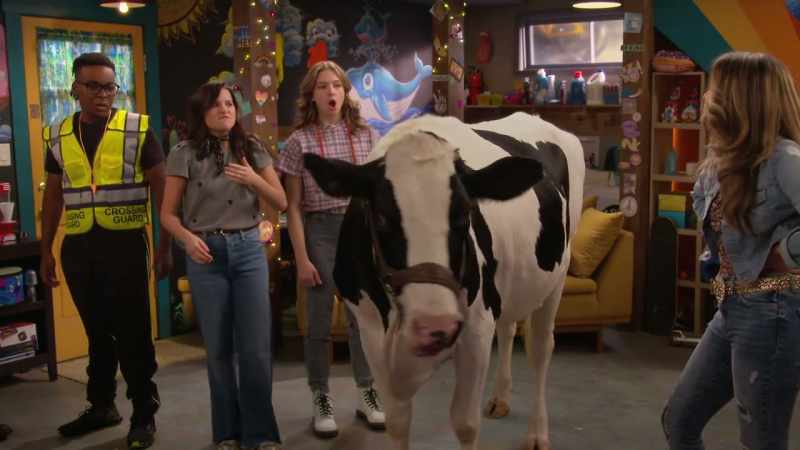 Someone must have put a cow under our blankets