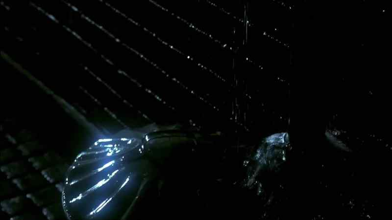 Someone once said if it was raining brains