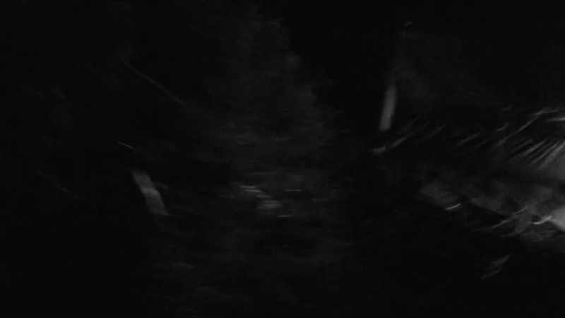 Something in the water is my guess