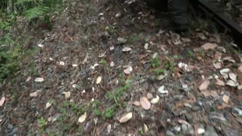 Something with a flat surface literally stepped off the tracks