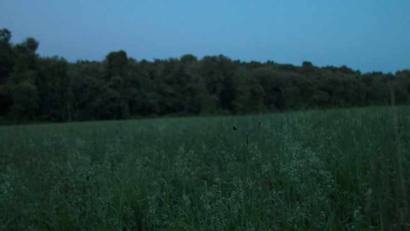 Sometime, I think it was around 9:00 that night
