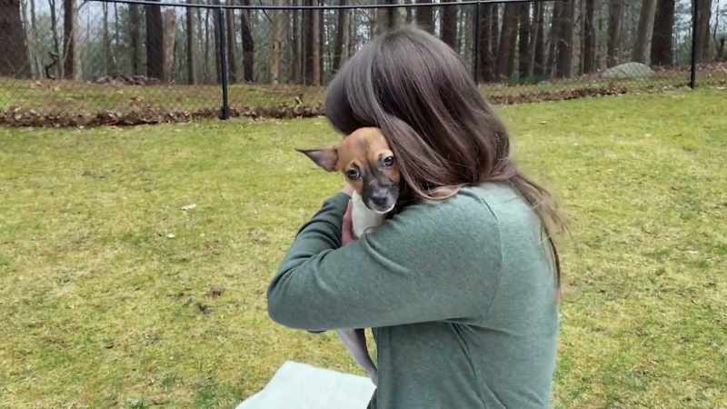 Sometimes we have to rescue them