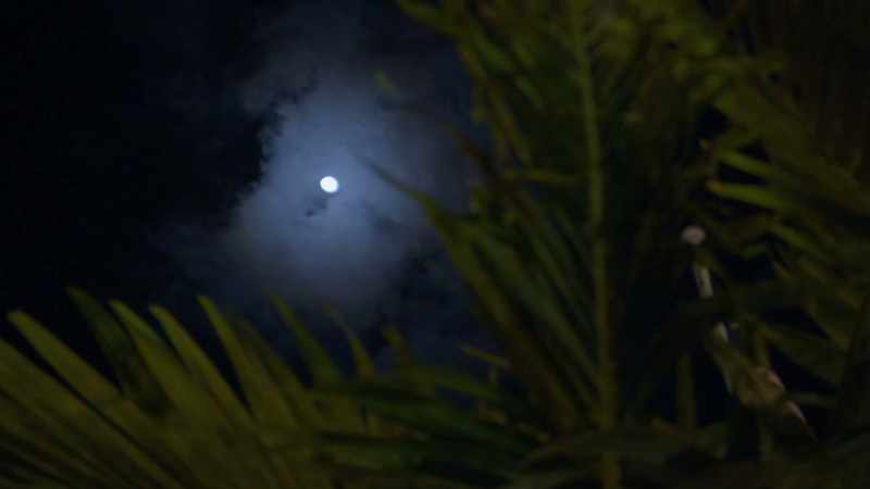 Somewhere between 11:00 and midnight that night