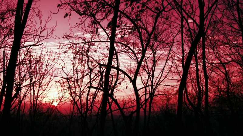 SOMEWHERE OUT THERE