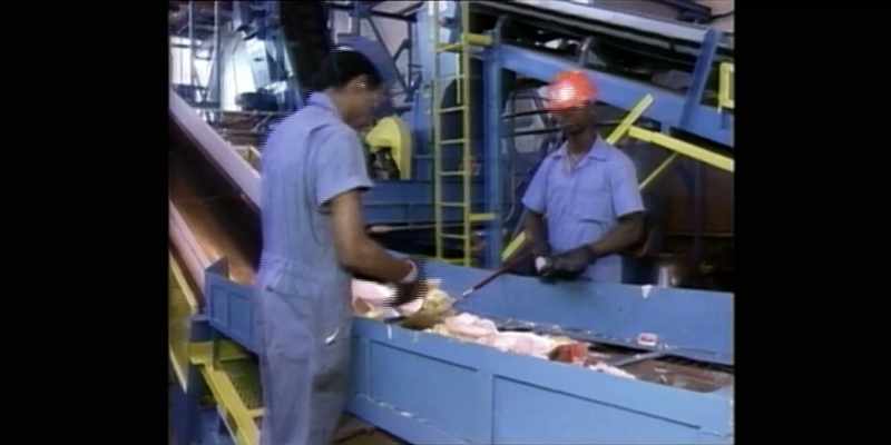 Son solo una de varias empresas