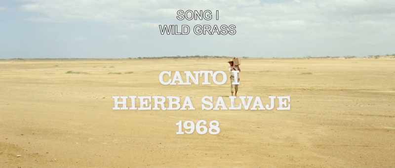 SONG I WILD GRASS