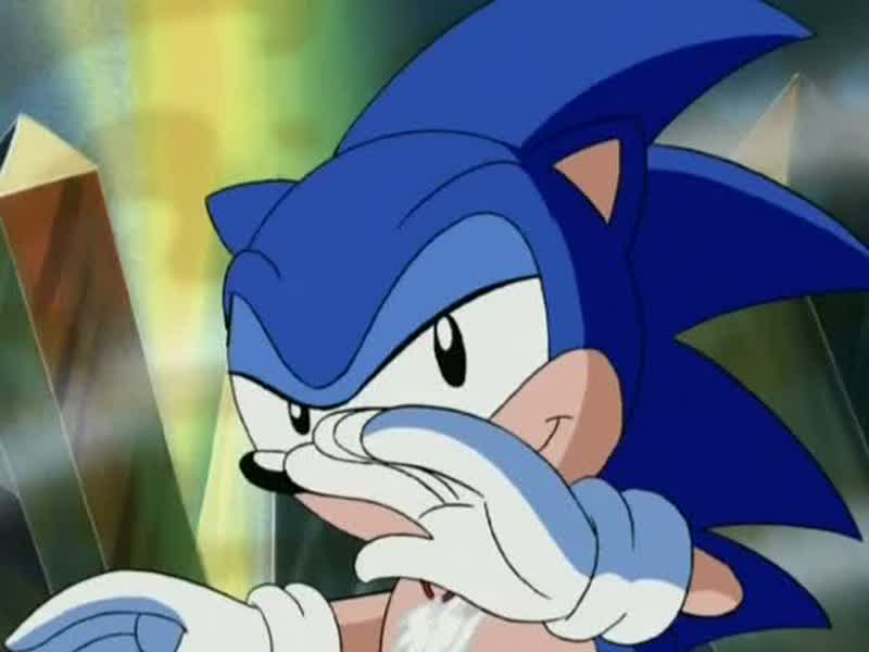 Sonia: SONIC, WAIT!