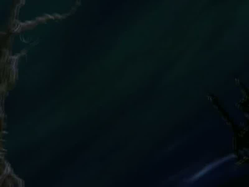 Sonic: NO WAY!