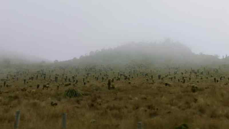 Soon we entered the clouds