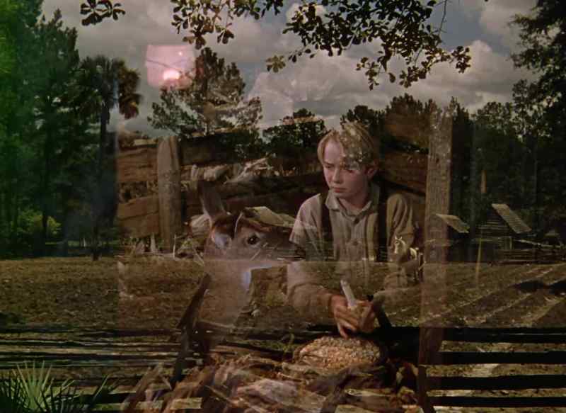 Soon as I get the corn planted you're gonna get shut