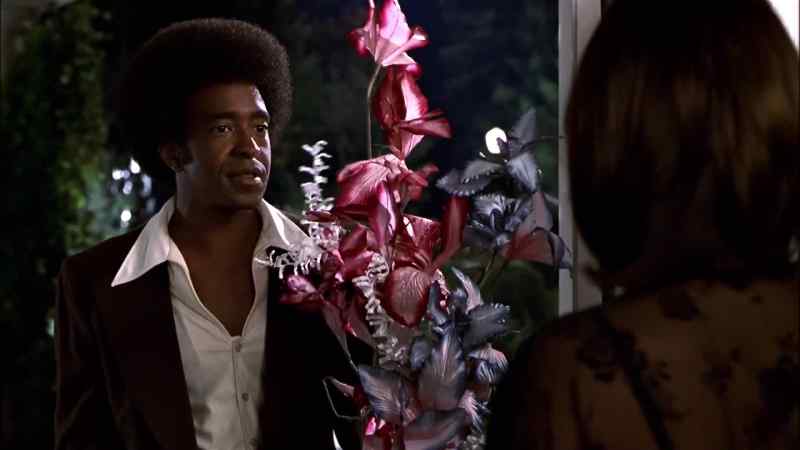 Sorry about that I brought you some flowers
