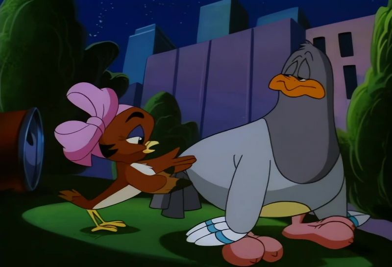 SORRY, SQUIT