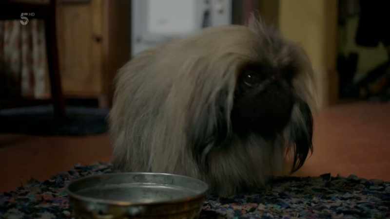 Sorry, Tricki, doctor's orders!