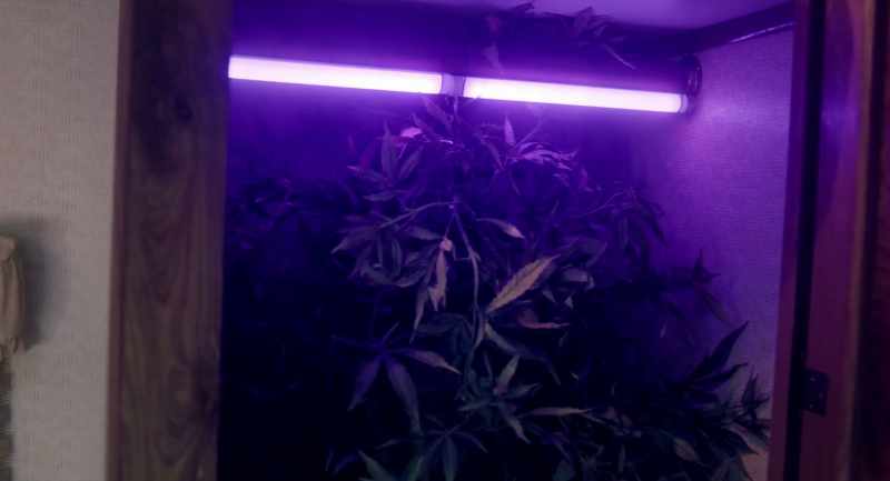 [Sound of black light charger buzzing]
