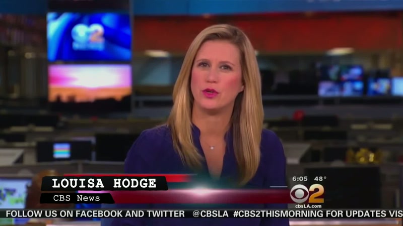 Sources tell CBS 2 the suspects