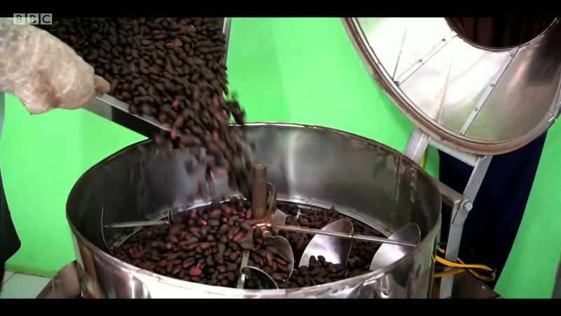 Soy, cocoa, coffee, palm oil and beef